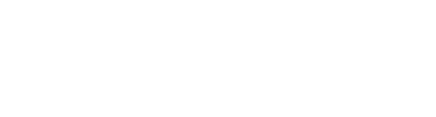 貝狐貍